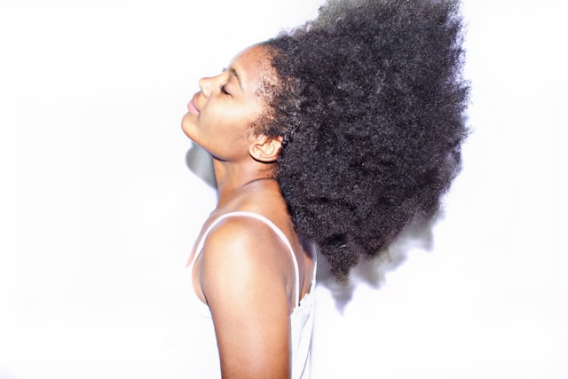 Zelqentravox harmónia